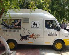 Mobile Pet grooming Van