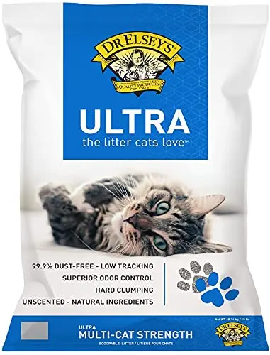 Best Cat Litter For Respiratory Problems - 2026 Reviews - Enchanting Pets