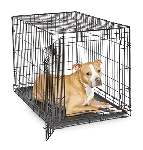 Best Travel Crates For Dogs - 2026 Reviews - Enchanting Pets