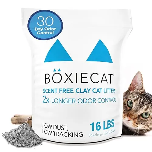 Best Cat Litter For Clumping And Odor Control - 2026 Reviews ...