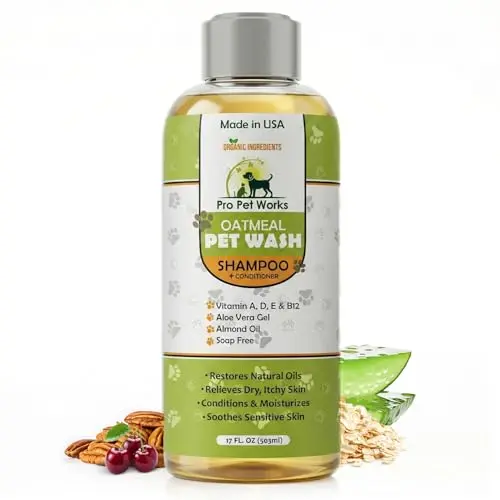 Best Shampoo For Cats With Itchy Skin - 2026 Reviews - Enchanting Pets