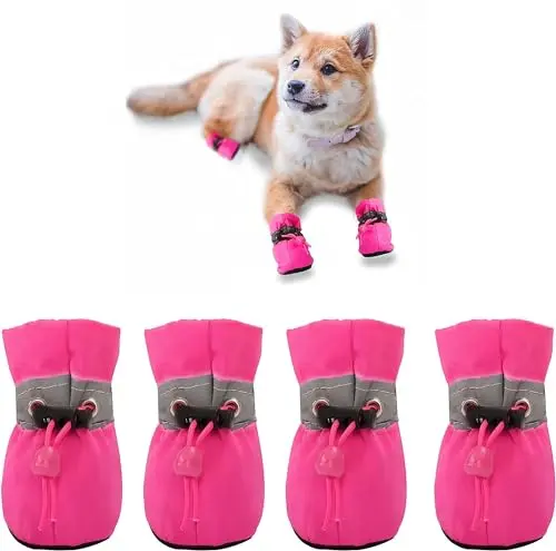 Best Dog Boots For Small Dogs - 2026 Reviews - Enchanting Pets