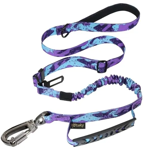 Best Leash For Reactive Dog - 2026 Reviews - Enchanting Pets