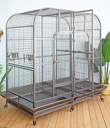 Best Bird Cages For Parrots - 2026 Reviews - Enchanting Pets
