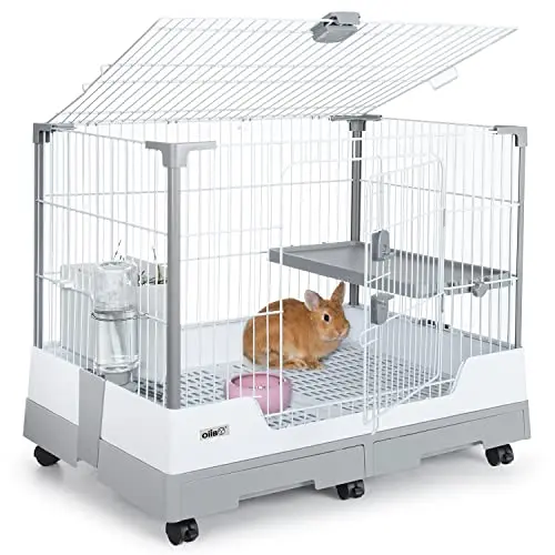 Best Cage For A Rabbit - 2026 Reviews - Enchanting Pets
