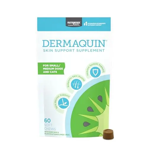 Dermaquin Best Skin Supplements For Dogs - 2026 Reviews - Enchanting Pets