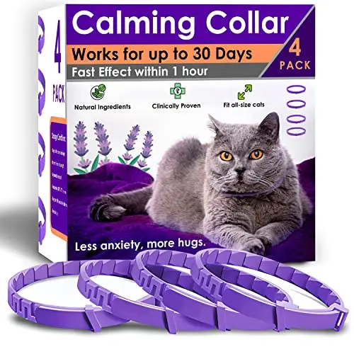 View of Best Calming Collar For Cats - 2026 Reviews - Enchanting Pets