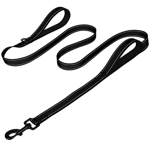 Best Leash For Reactive Dog - 2026 Reviews - Enchanting Pets