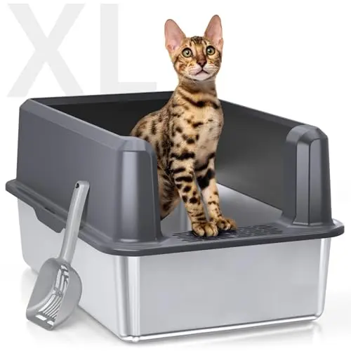 Best Litter Box For Messy Cats - 2026 Reviews - Enchanting Pets