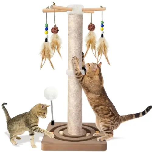 Best Scratching Posts For Cats - 2026 Reviews - Enchanting Pets