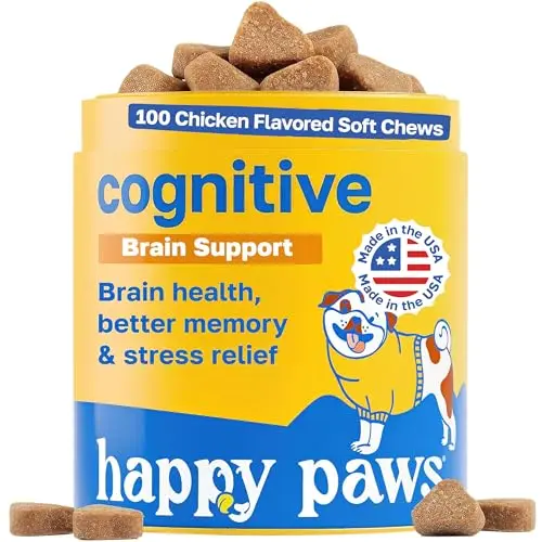 Best Cognitive Supplements For Dogs - 2026 Reviews - Enchanting Pets