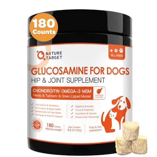 Best Natural Joint Supplement For Dogs - 2026 Reviews - Enchanting Pets