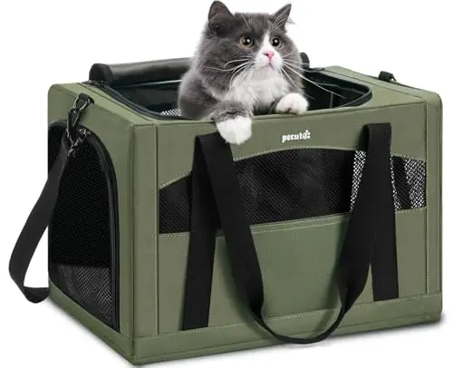 Best Cat Carrier For Anxious Cats - 2026 Reviews - Enchanting Pets