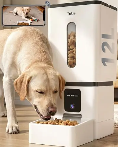 Photo inspiration: Visual Reference: Best Automatic Pet Feeder For Dogs 2026 Reviews