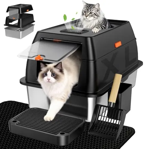 Best Cat Litter Boxes For Odor Control - 2026 Reviews - Enchanting Pets