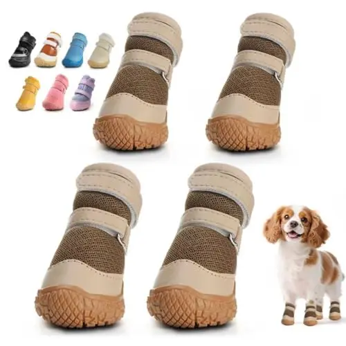Best Dog Boots For Small Dogs - 2026 Reviews - Enchanting Pets