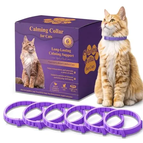 Picture of Best Calming Collar For Cats - 2026 Reviews - Enchanting Pets