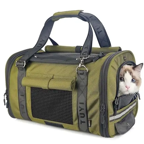 Best Cat Carrier For Anxious Cats - 2026 Reviews - Enchanting Pets